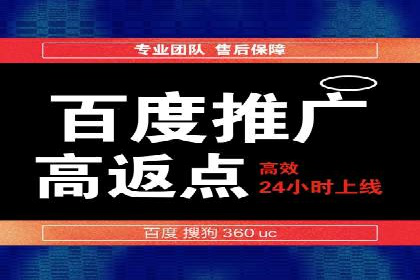 竞价推广实战：经典案例深度解析